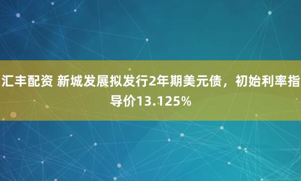 汇丰配资 新城发展拟发行2年期美元债，初始利率指导价13.125%